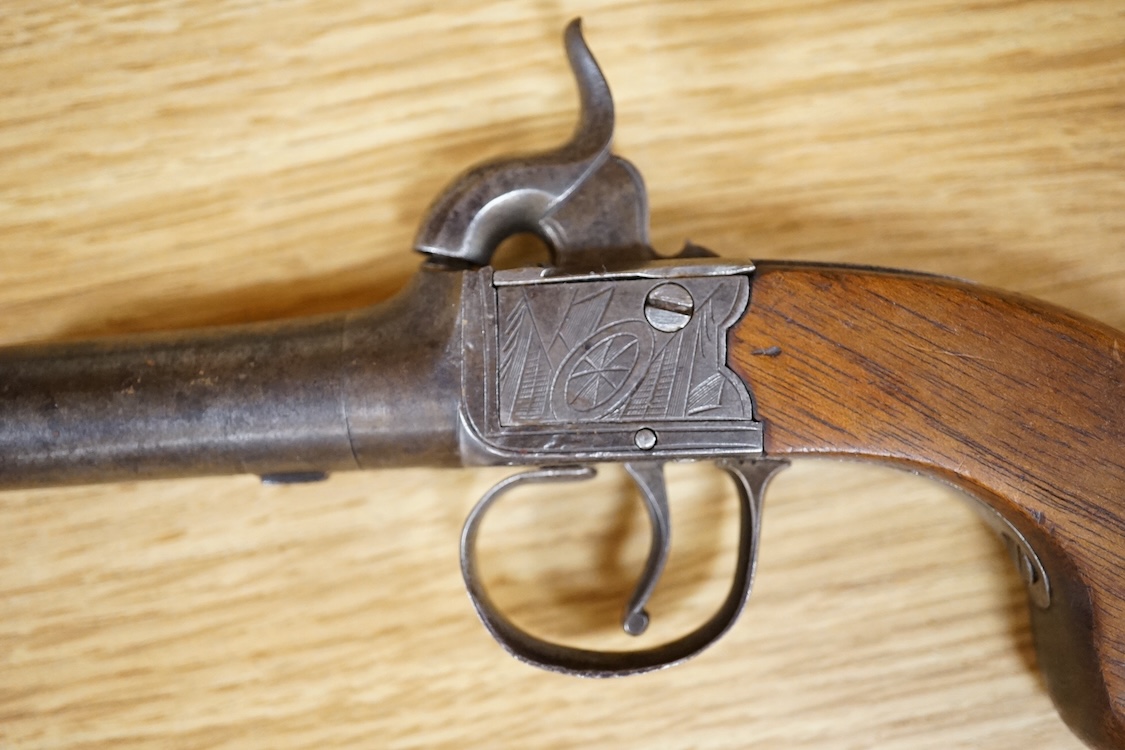 A boxlock percussion pocket pistol with turn off barrel, Birmingham proofs, trophy engraved frame, and slab walnut butt